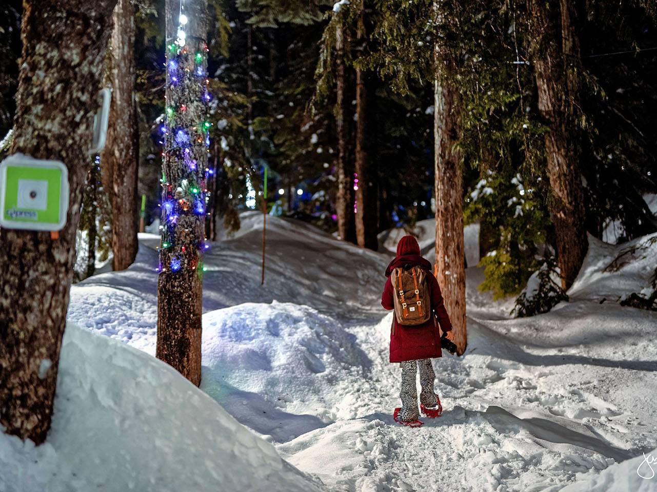 A snow shoer hikes through a snowy trail with lights on all trees.