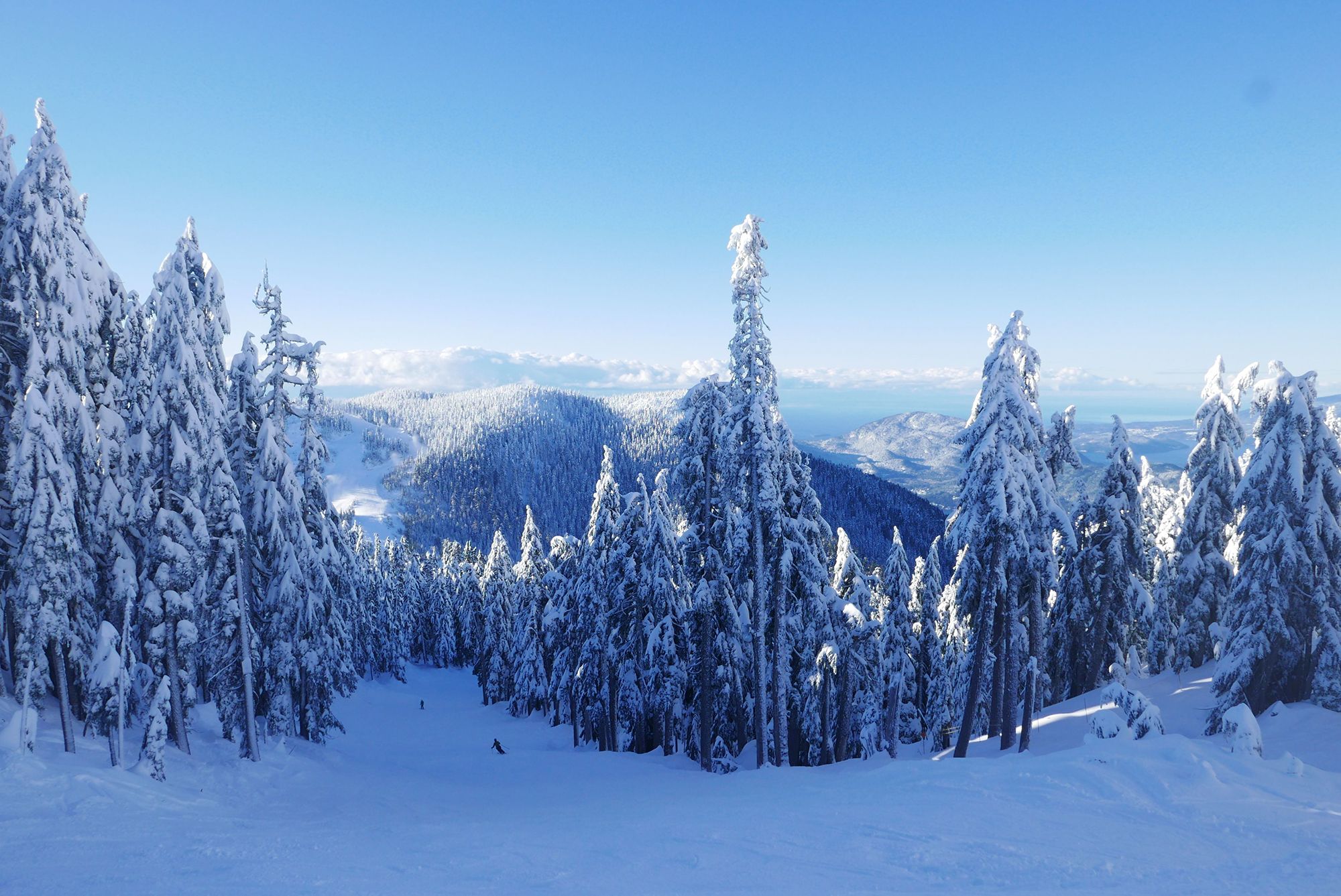 A ski run with mountains and trees behind it as a skier skis down in the distance.