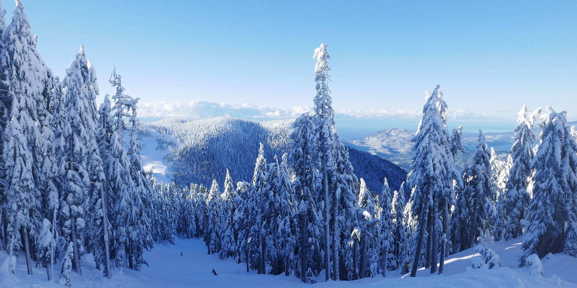 A ski run with mountains and trees behind it as a skier skis down in the distance.