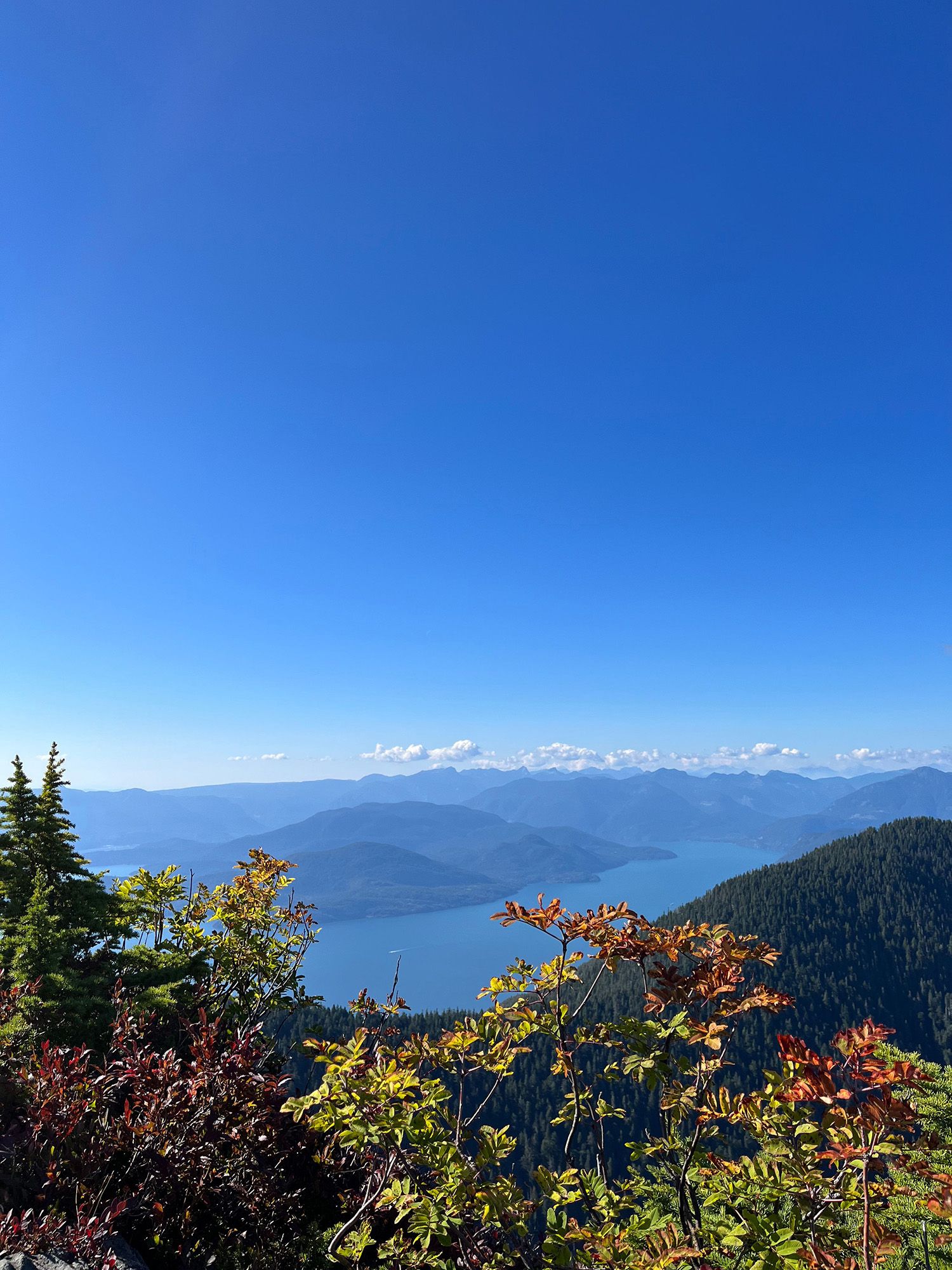 Colorful alpine shrubs and evergreen trees in the foreground overlook a deep blue lake surrounded by forested mountains under a clear summer sky