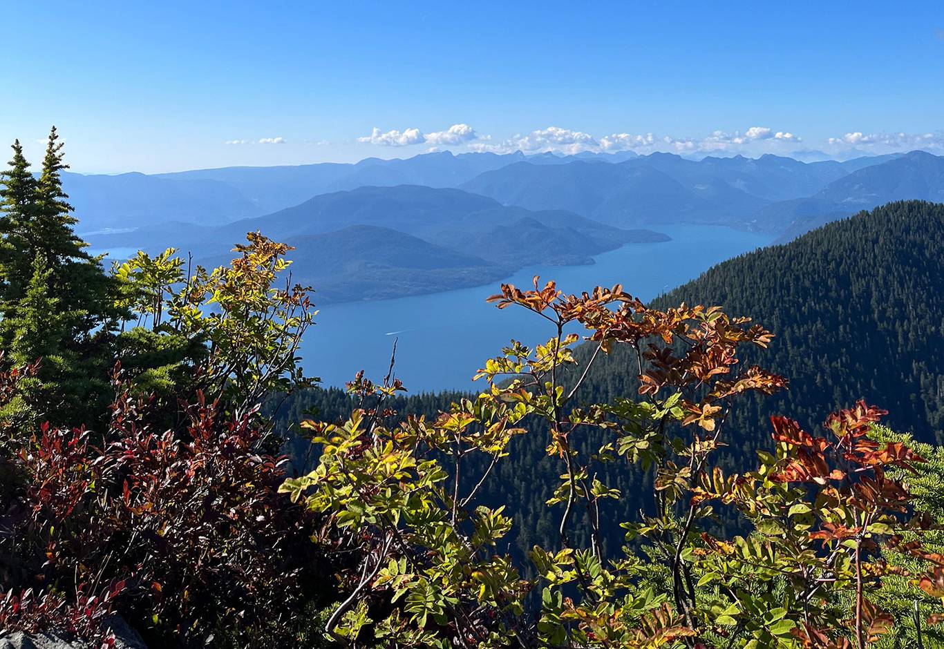 Colorful alpine shrubs and evergreen trees in the foreground overlook a deep blue lake surrounded by forested mountains under a clear summer sky