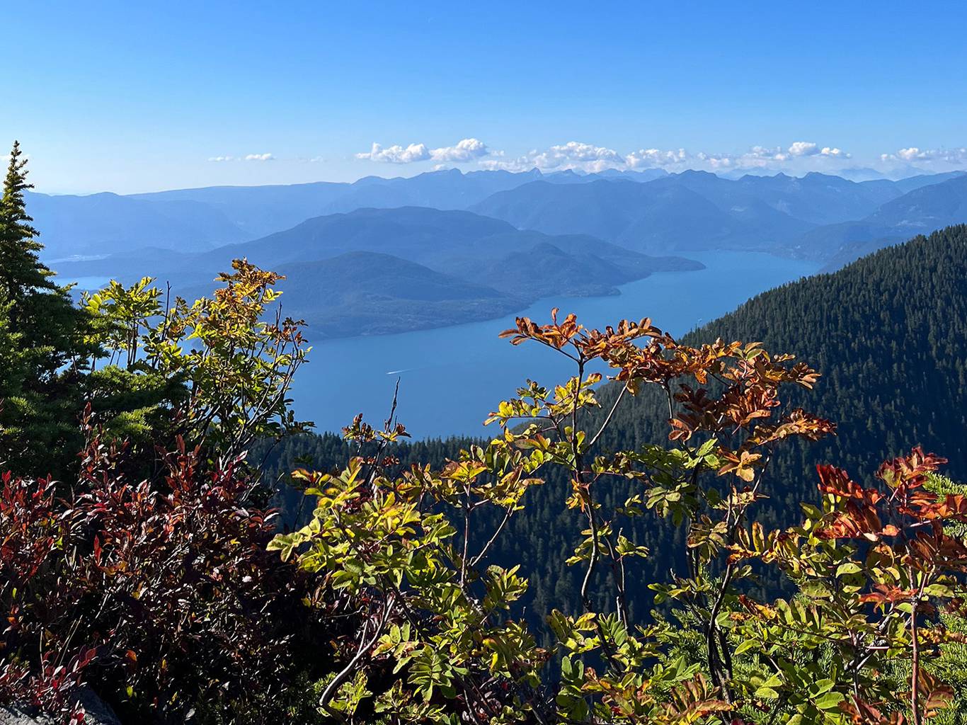 Colorful alpine shrubs and evergreen trees in the foreground overlook a deep blue lake surrounded by forested mountains under a clear summer sky
