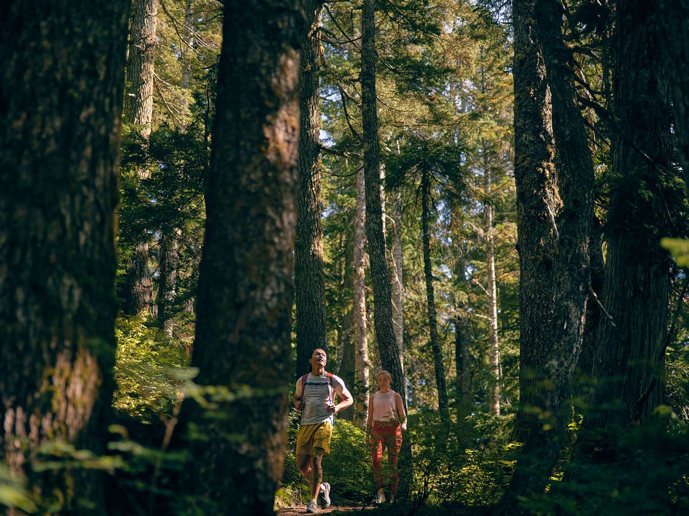 hikers enjoying cypress mountain's trails