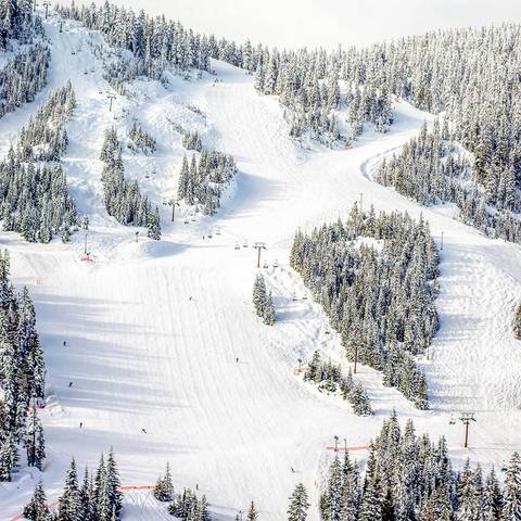 Ski runs in winter as viewed from above.