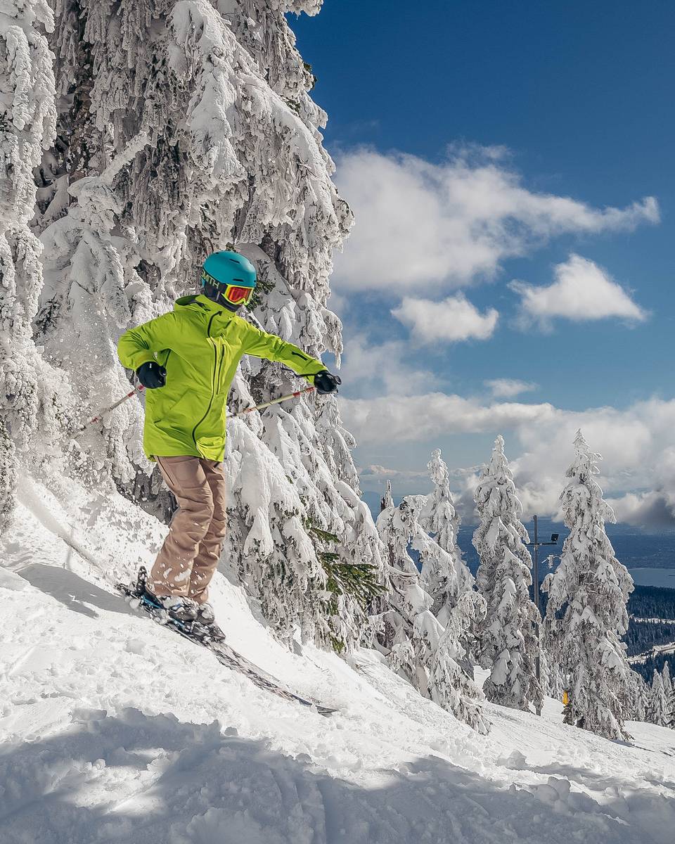 Skier in trees on a blue bird day