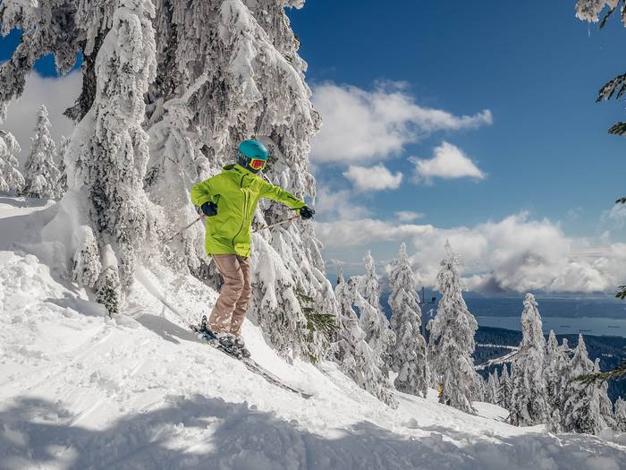 Skier in trees on a blue bird day