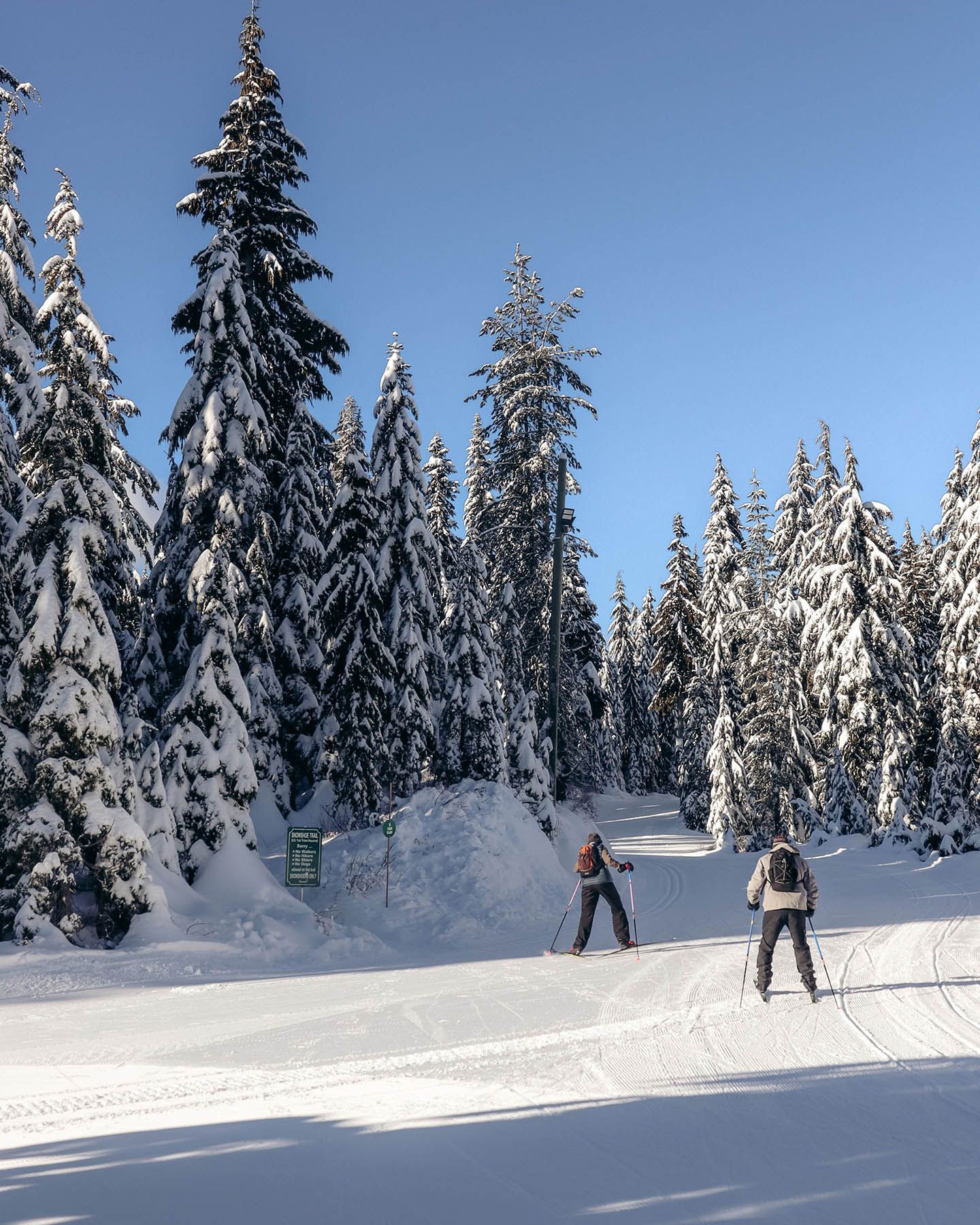Two Nordic skiers cross country ski down a snowy trail in a forest on a sunny day.