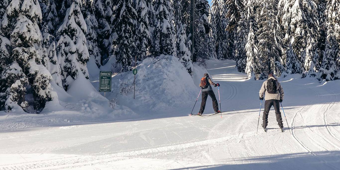 Two Nordic skiers cross country ski down a snowy trail in a forest on a sunny day.