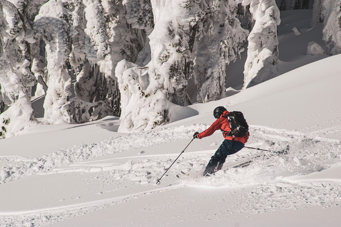 A skier in a red jacket and black backpack, skis on a powder day in the sun.