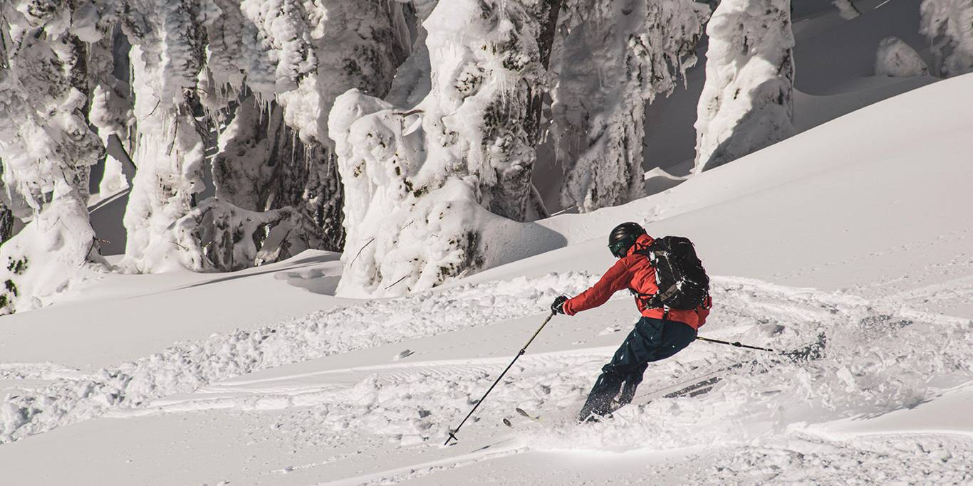 A skier in a red jacket and black backpack, skis on a powder day in the sun.