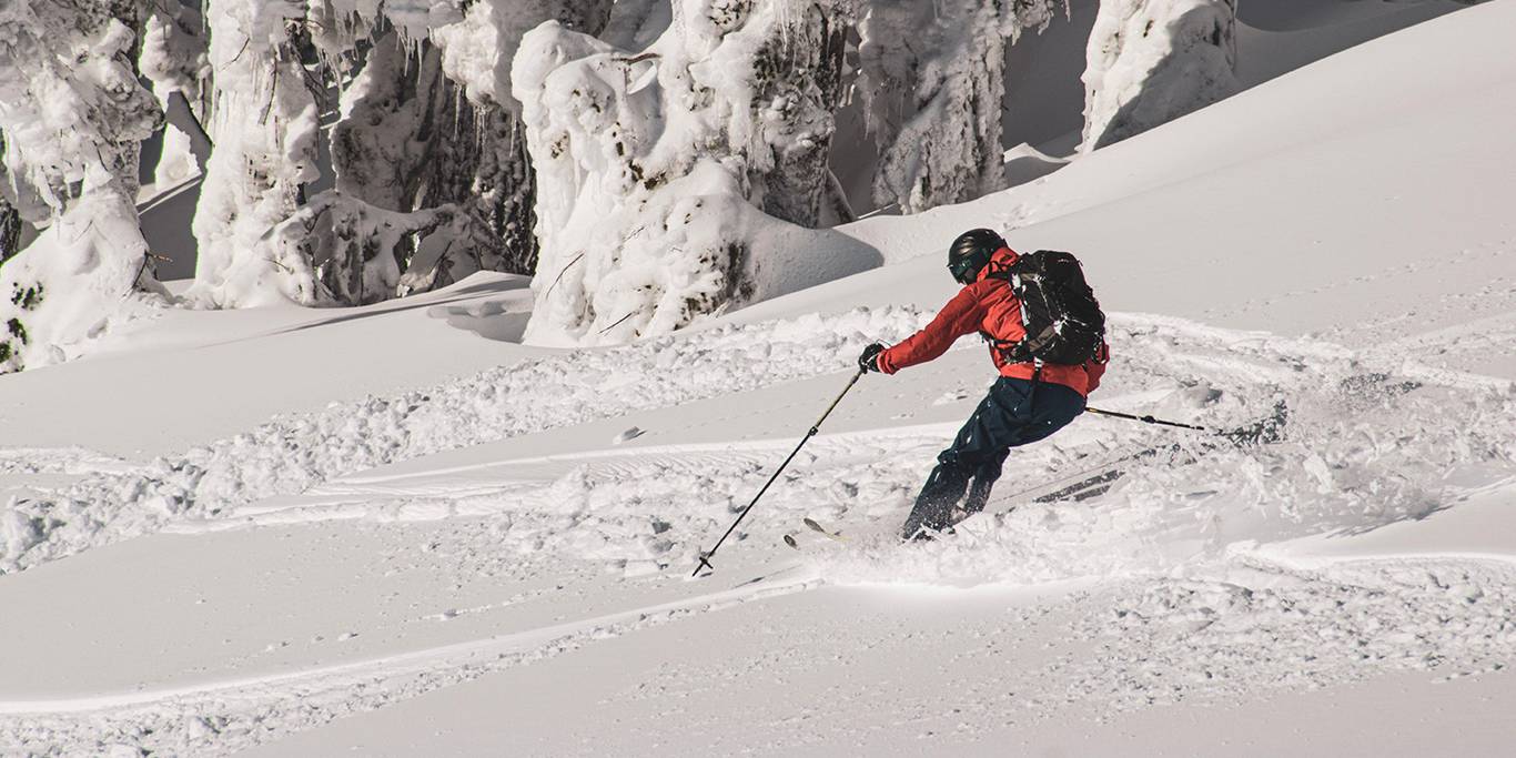 A skier in a red jacket and black backpack, skis on a powder day in the sun.