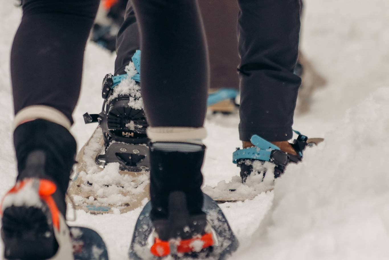 A close-up of three pairs of snowshoes worn by people in black pants.