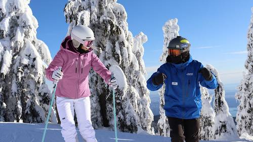 Instructor and adult skier in front of snowy trees