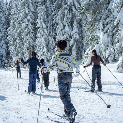 School group children cross country skiing.