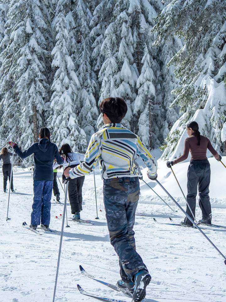 School group children cross country skiing.