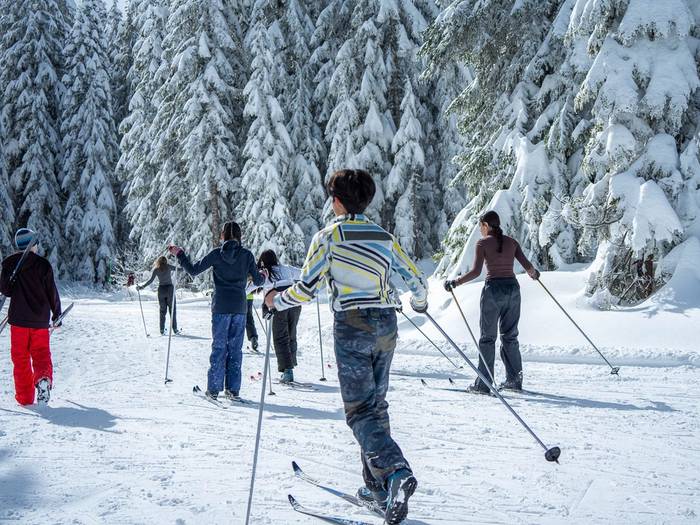 School group children cross country skiing.
