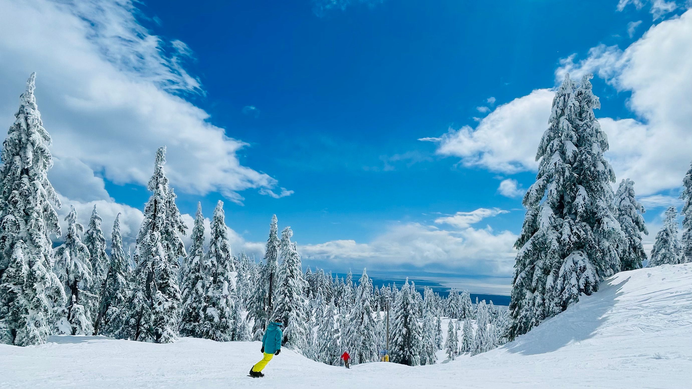Cypress Mountain on a bluebird day.