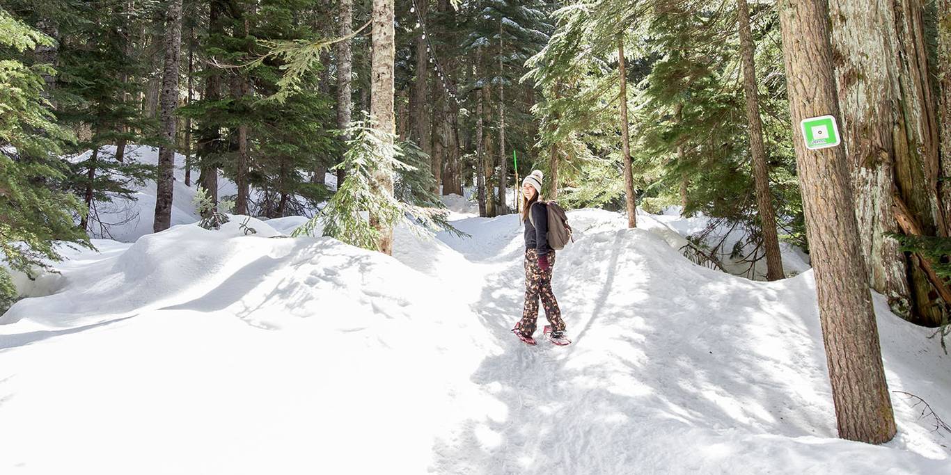 A woman snowshoes through an Old Growth forest on a sunny day.