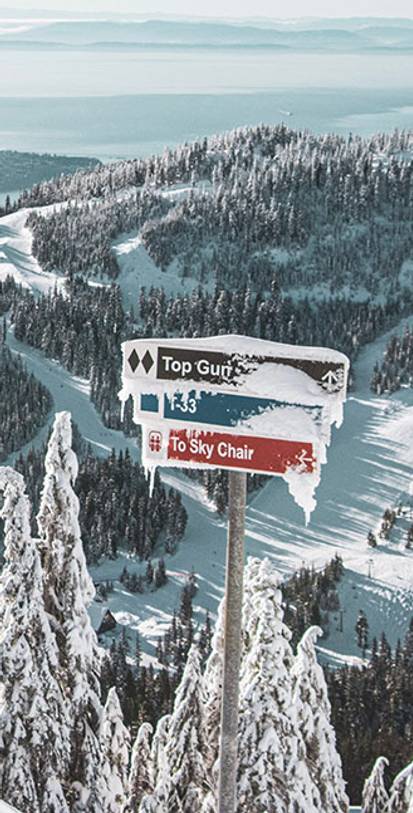 Trail Run signs covered in snow on a bluebird day