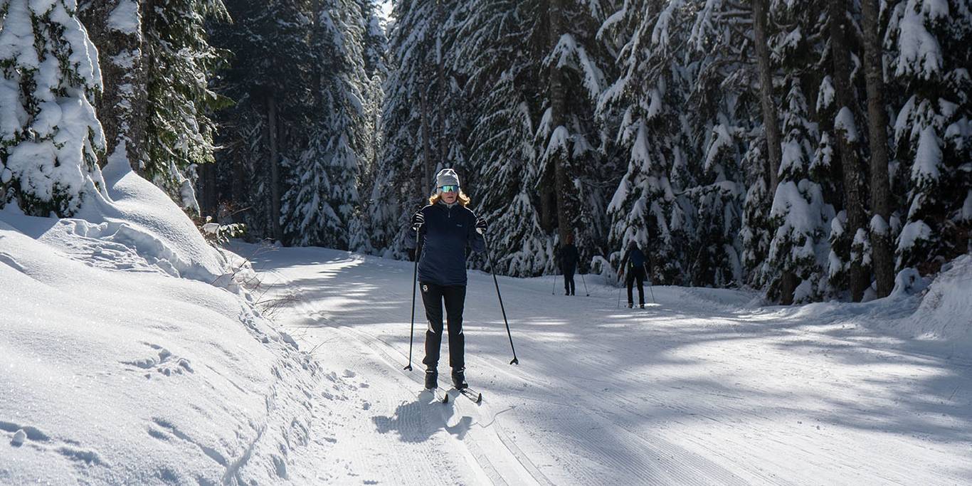 A woman cross country skiing in the snow covered forest.
