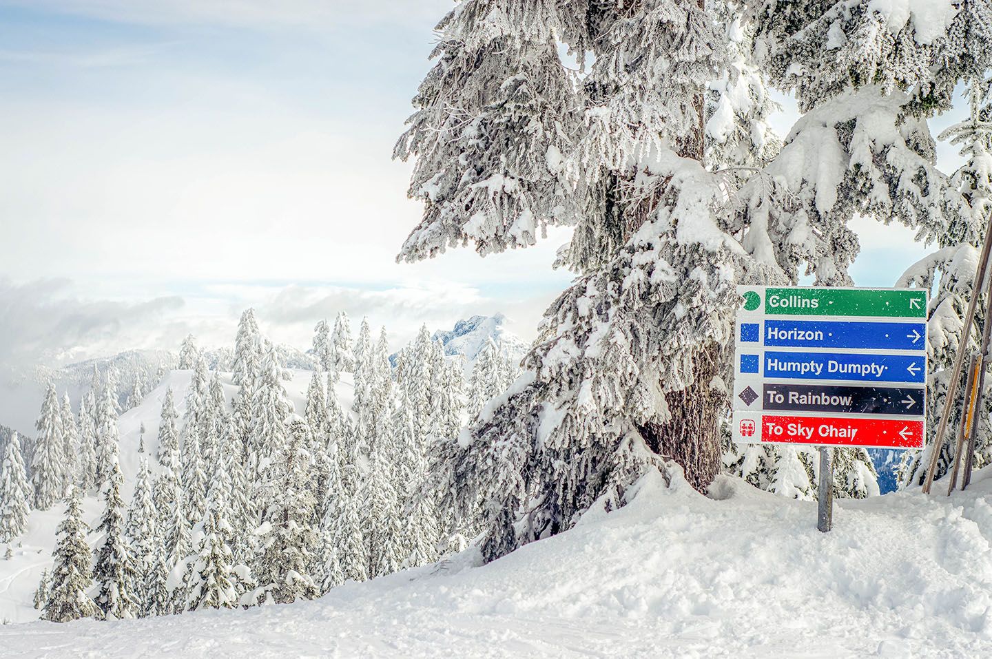 Mountain signs for green, blue and black runs on Cypress Mountain.