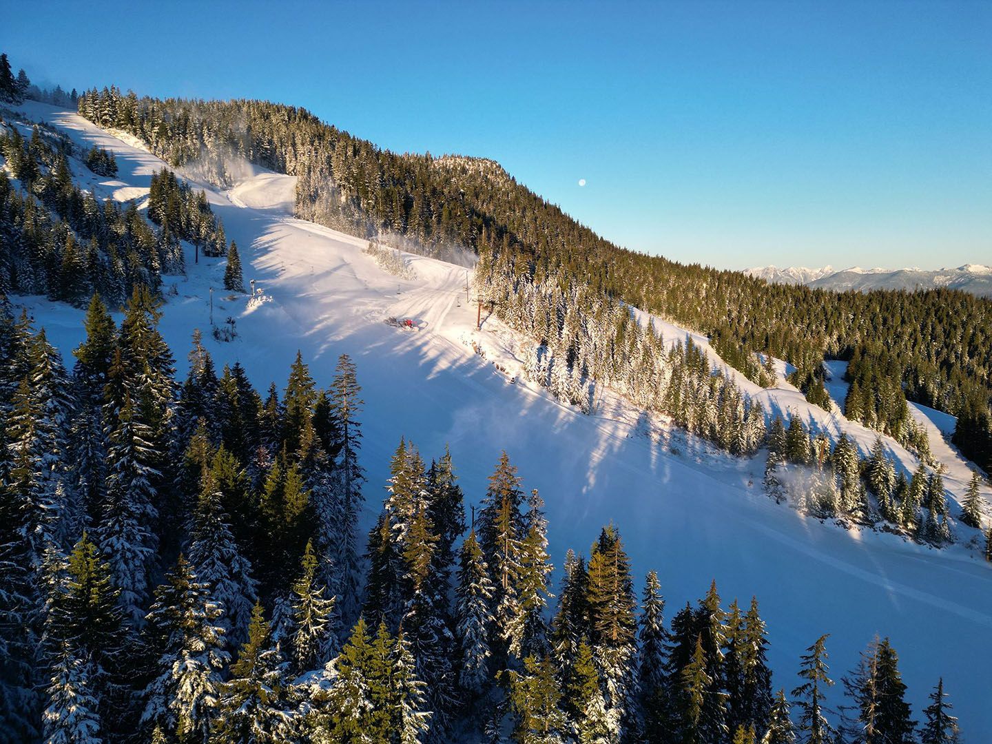 A view of the mountain with sun shining through the trees.