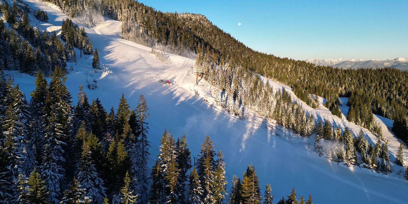 A view of the mountain with sun shining through the trees.