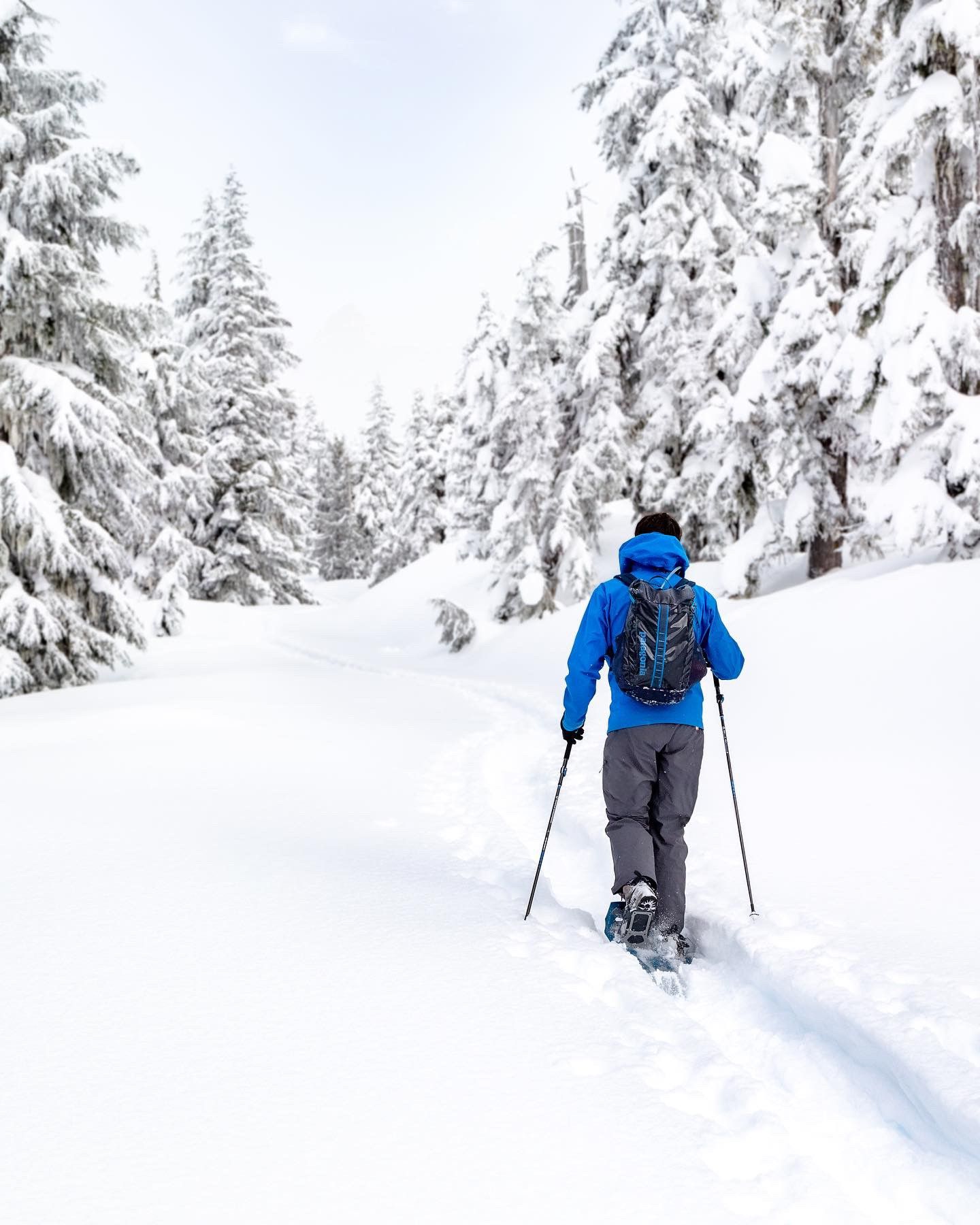 Cross country skier with blue jacket.