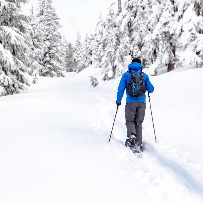Cross country skier with blue jacket.