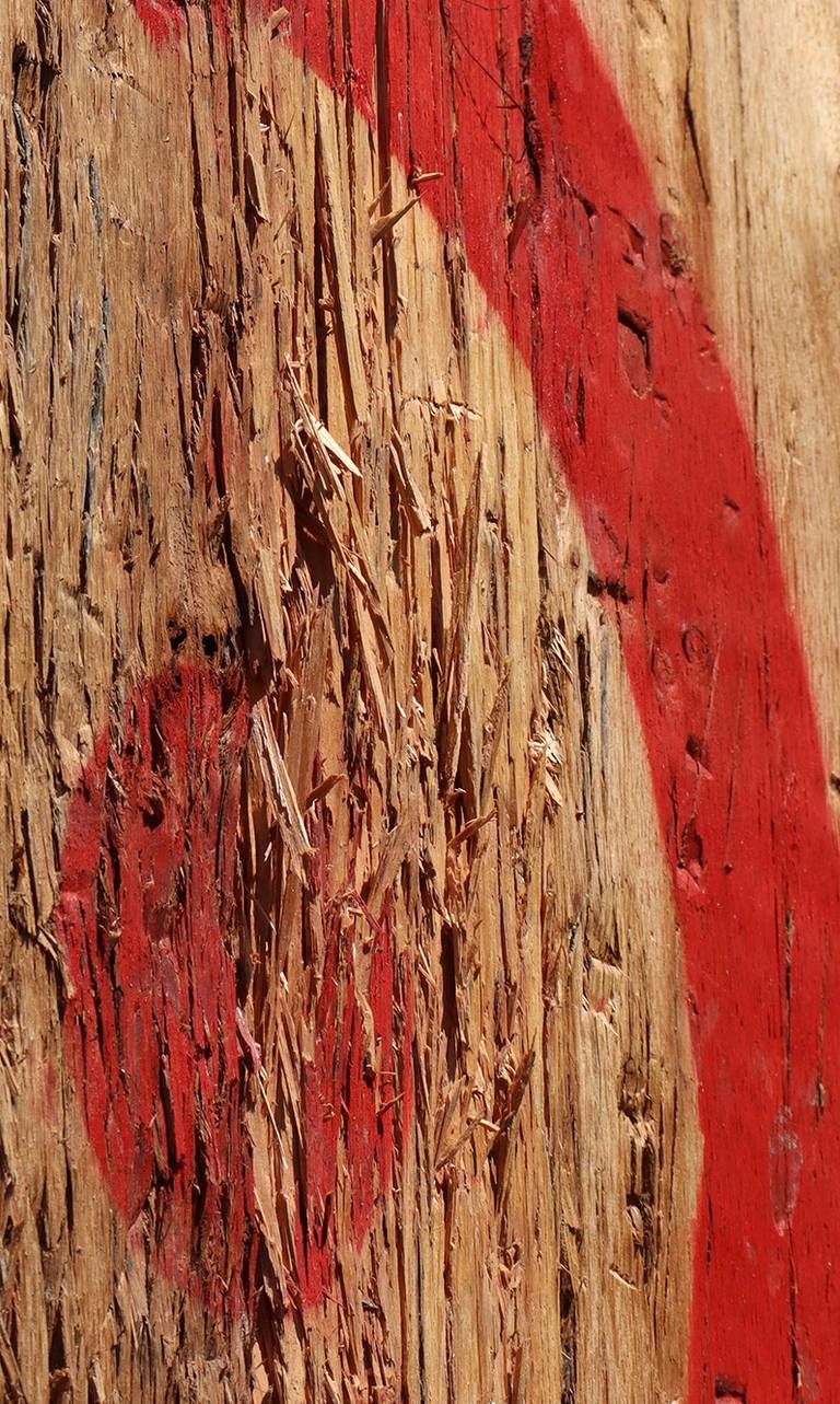 Axe throwing target close up view.
