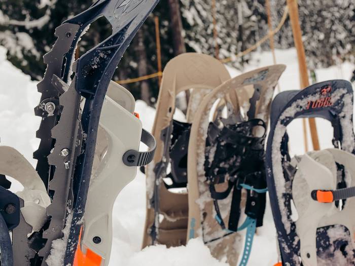 Snowshoes stuck in the snow.