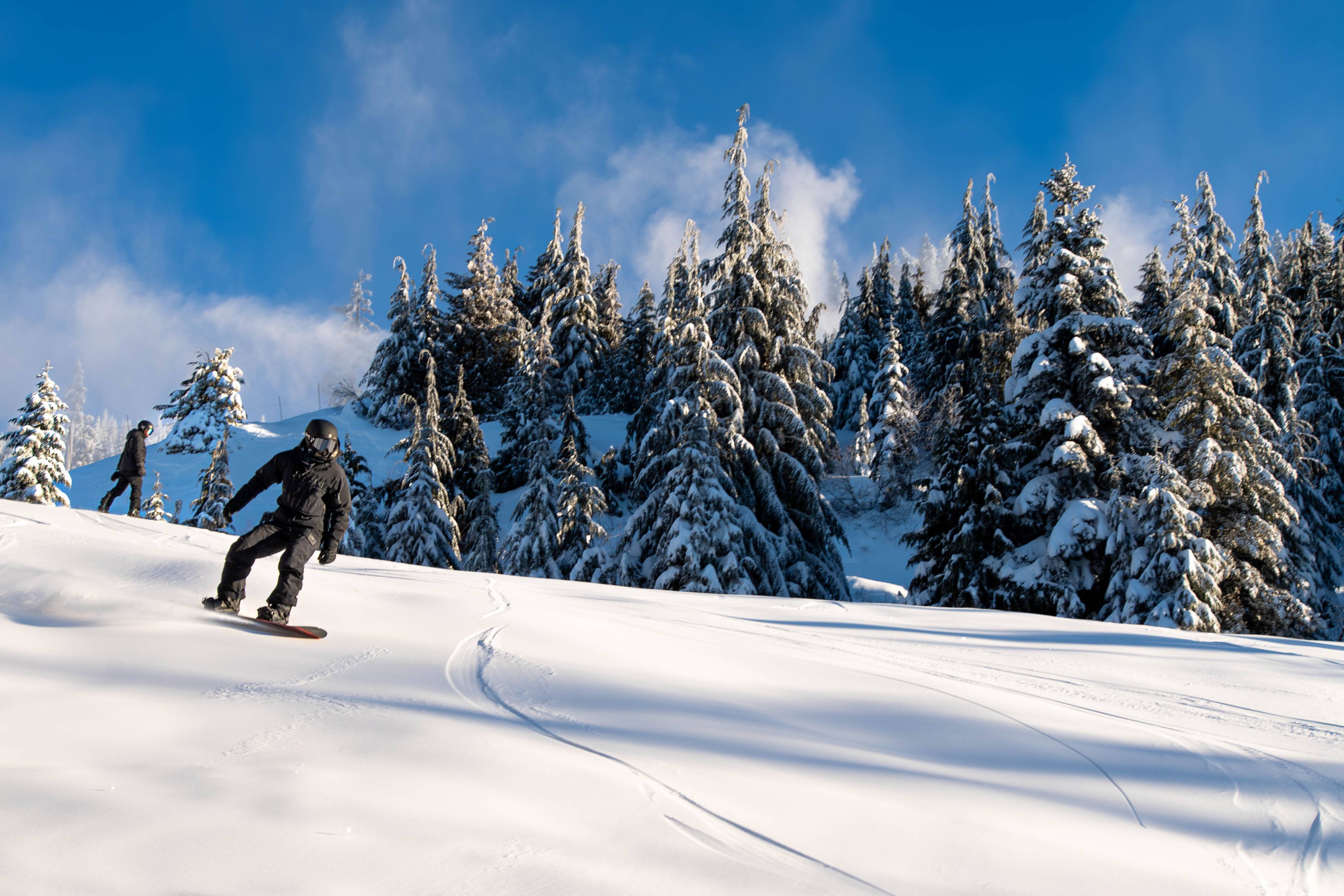 A snowboarder descends a slope with fresh snow.