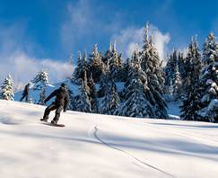 A snowboarder descends a slope with fresh snow.