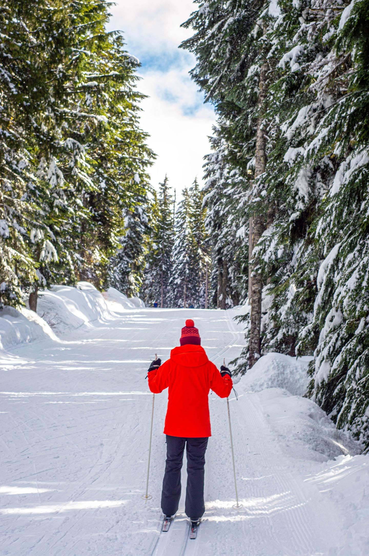 Cross country skier with a red jacket.