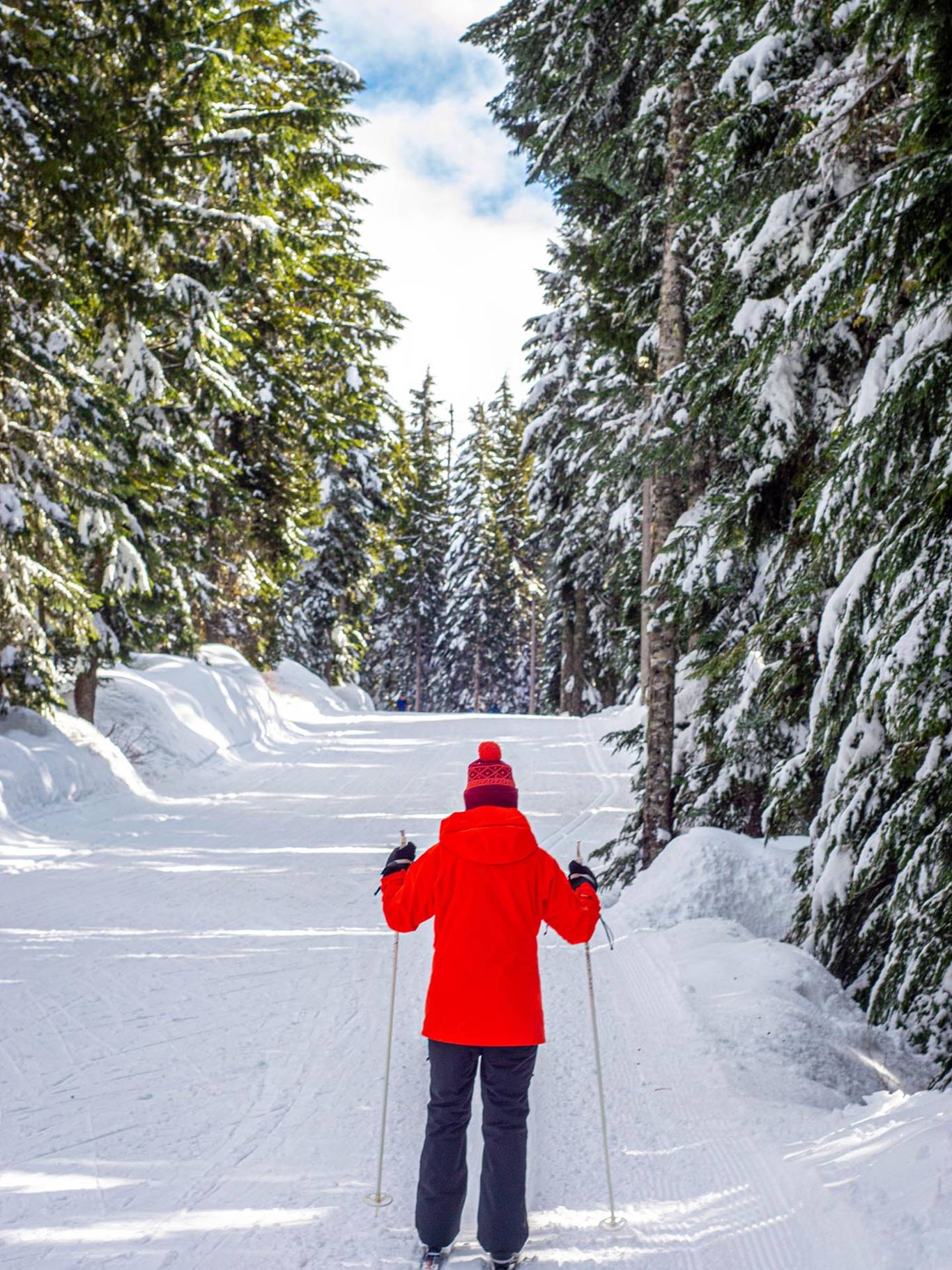 Cross country skier with a red jacket.