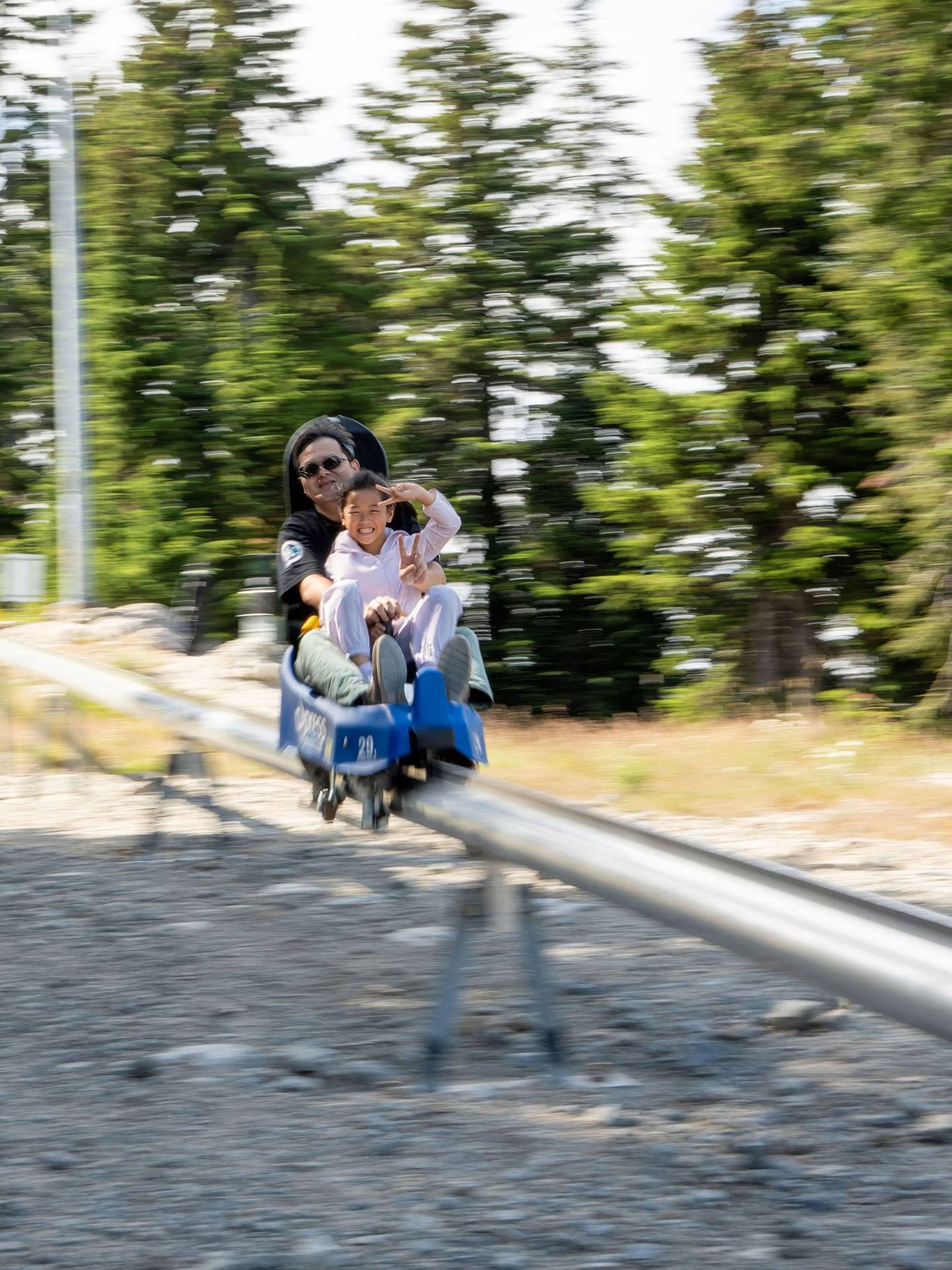 A pair ride down the Eagle Coaster in the sun.