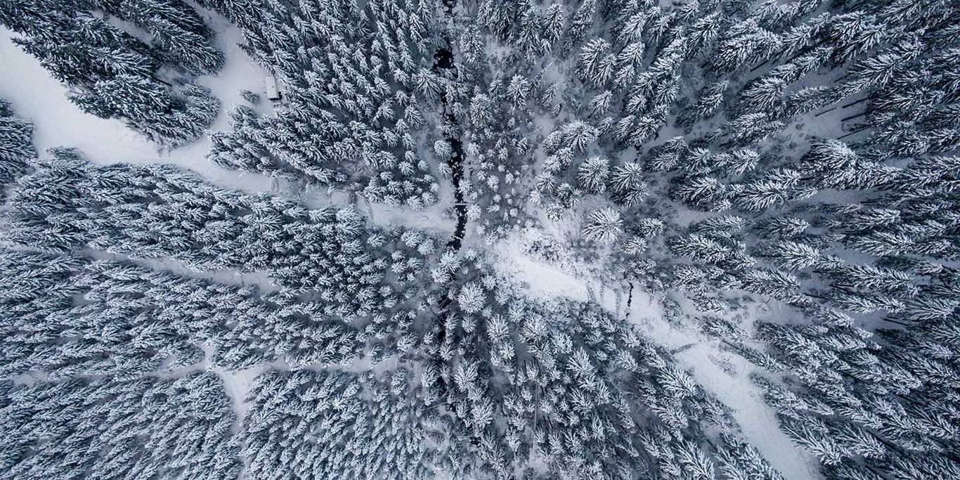 a snow covered landscape at Cypress Mountain