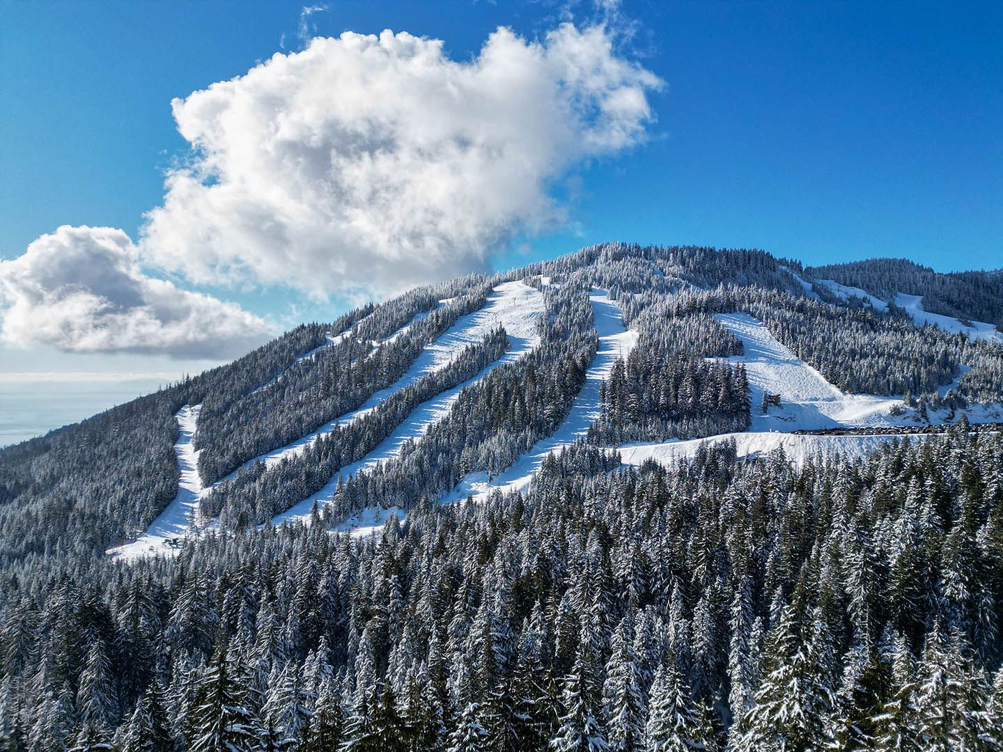 Scenic shot of Black Mountain Raven Ridge on a bluebird day