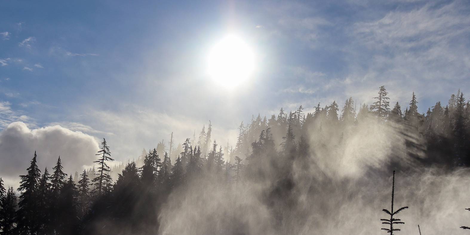 The sun rises over trees with mystical fog below at a ski resort.