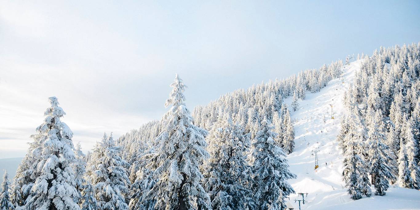 Winter slopes at Cypress Mountain covered in snow with skiiers descending