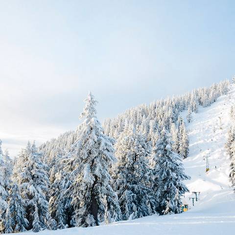 Snow covered trees and a ski run with a chairlift in the background.