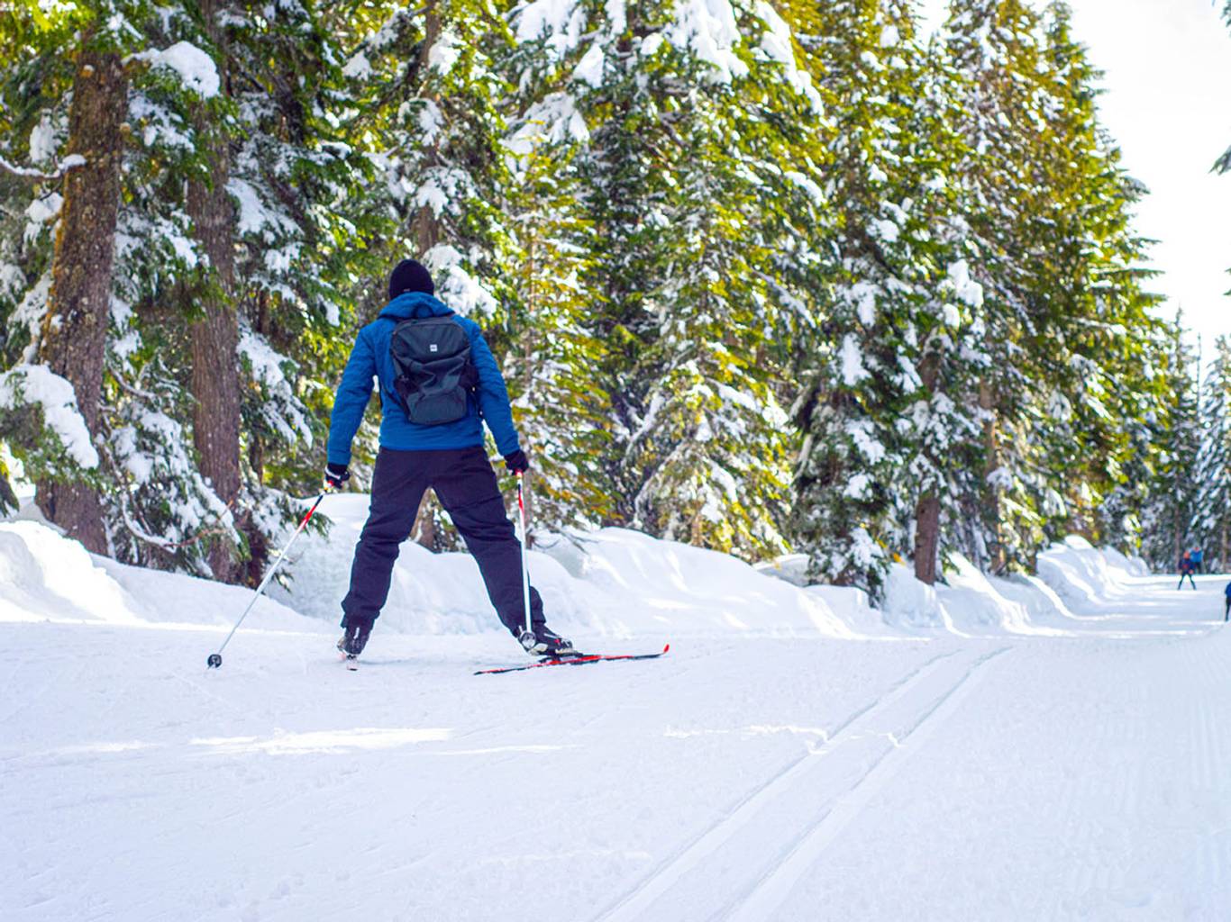 A person in blue jacket cross country skiing with green trees in the background.