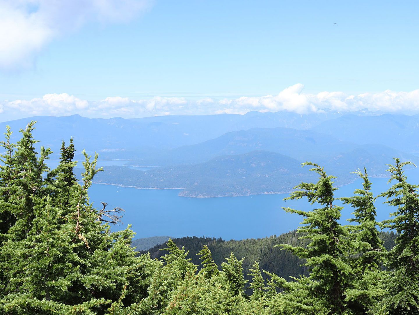 Ocean and island views from the top of the mountain in summer with trees in the foreground.