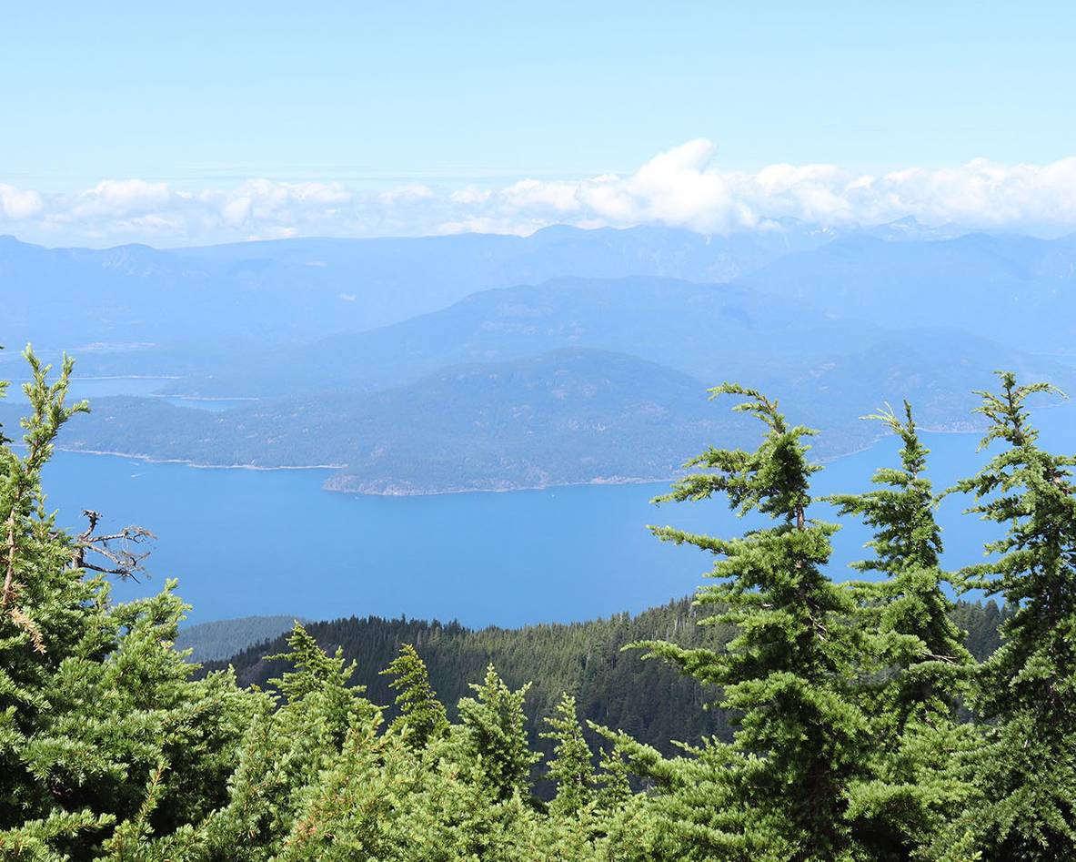 Ocean and island views from the top of the mountain in summer with trees in the foreground.