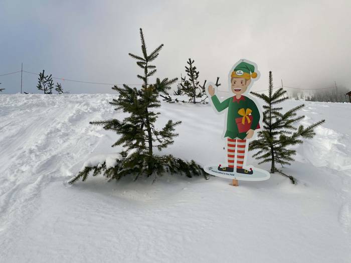 other festive elf hidden amongst tiny trees