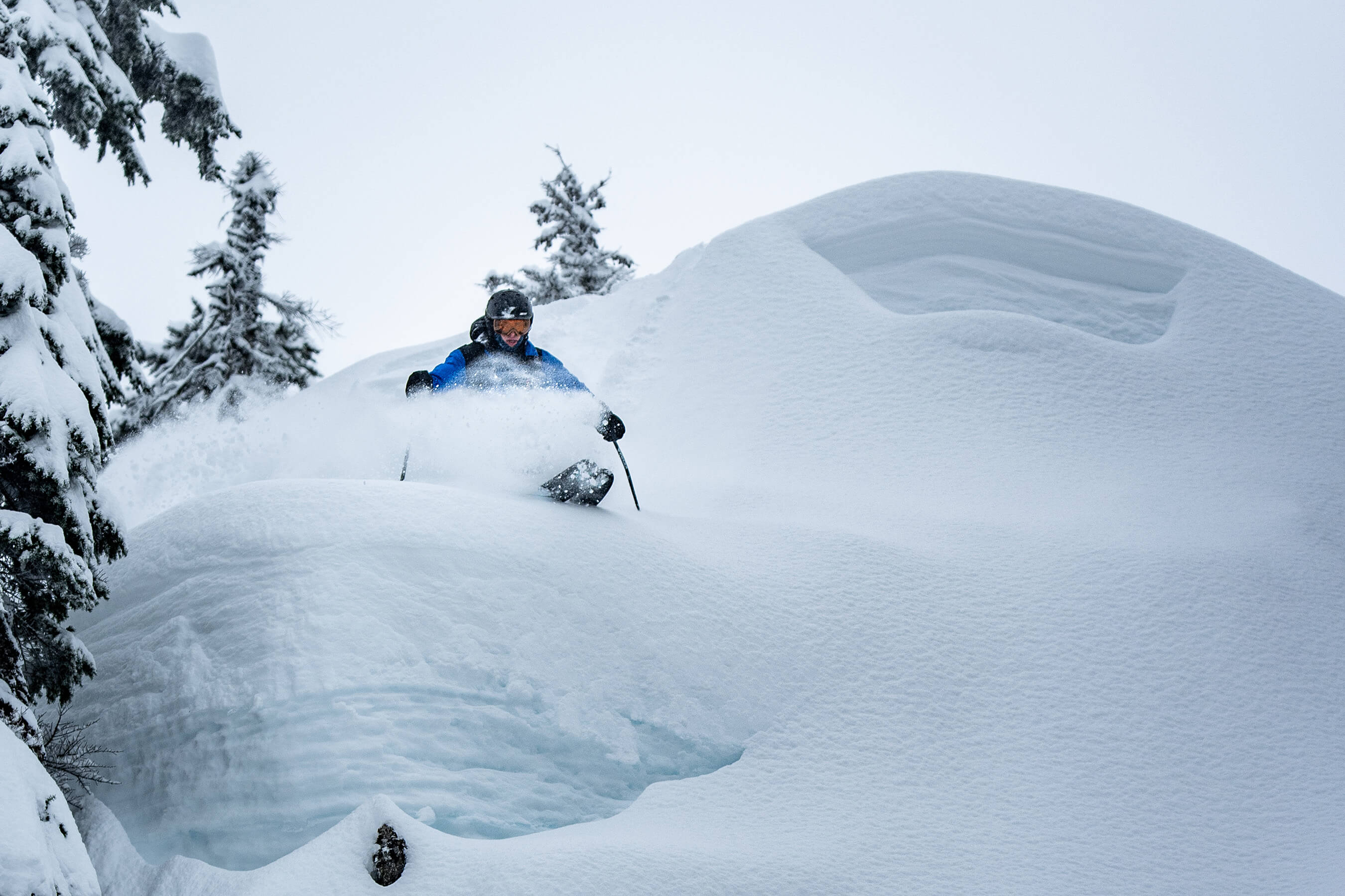 skier dropping into powder