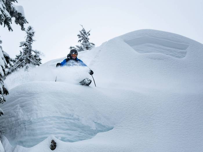 skier dropping into powder
