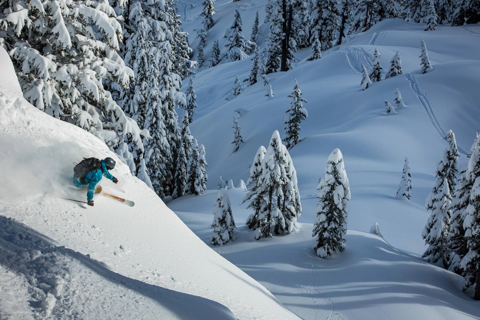 skier dropping into alpental back bowls