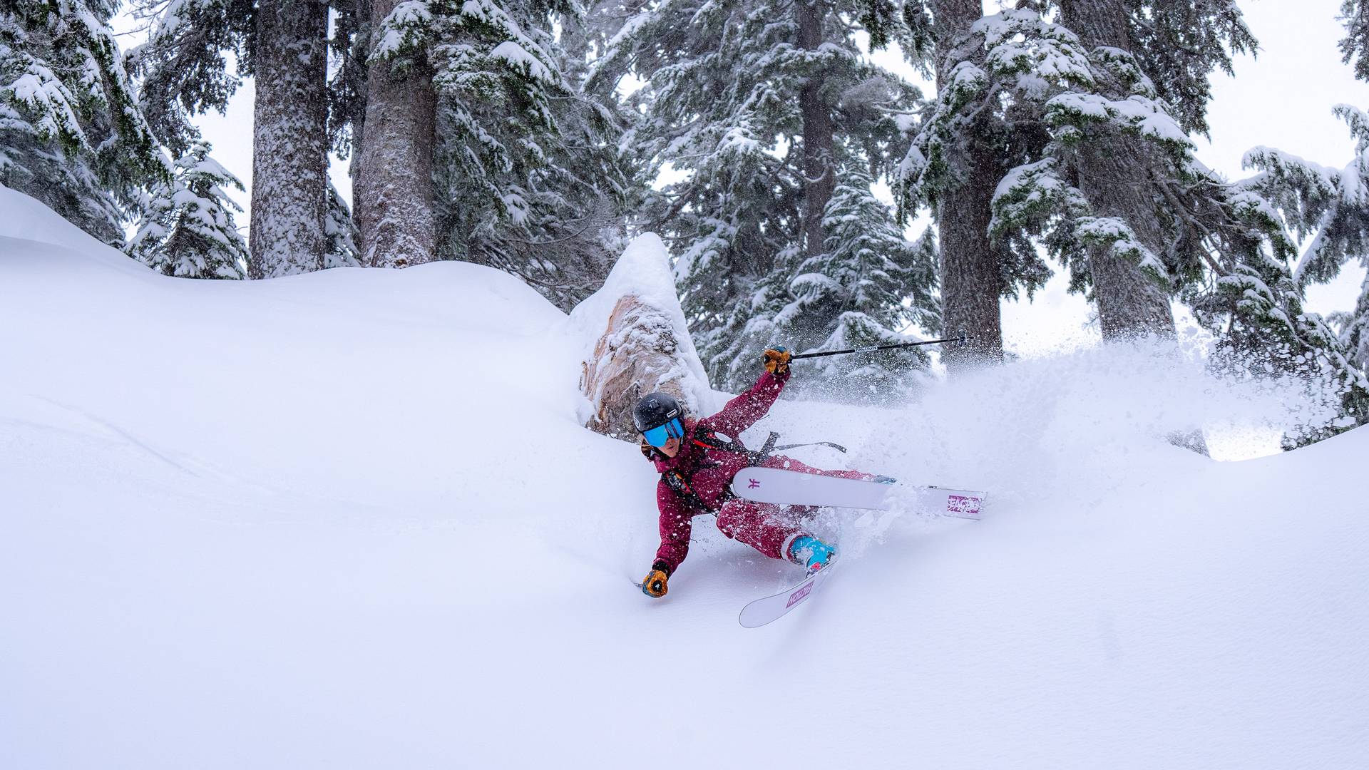 skier in deep pow