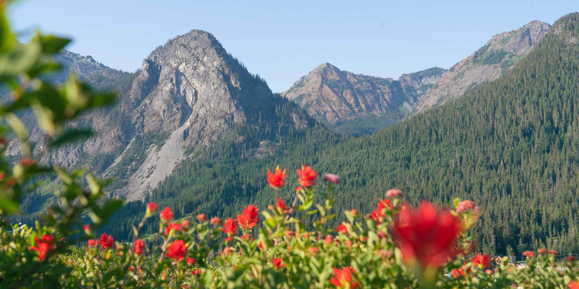 image of guy peak in summer